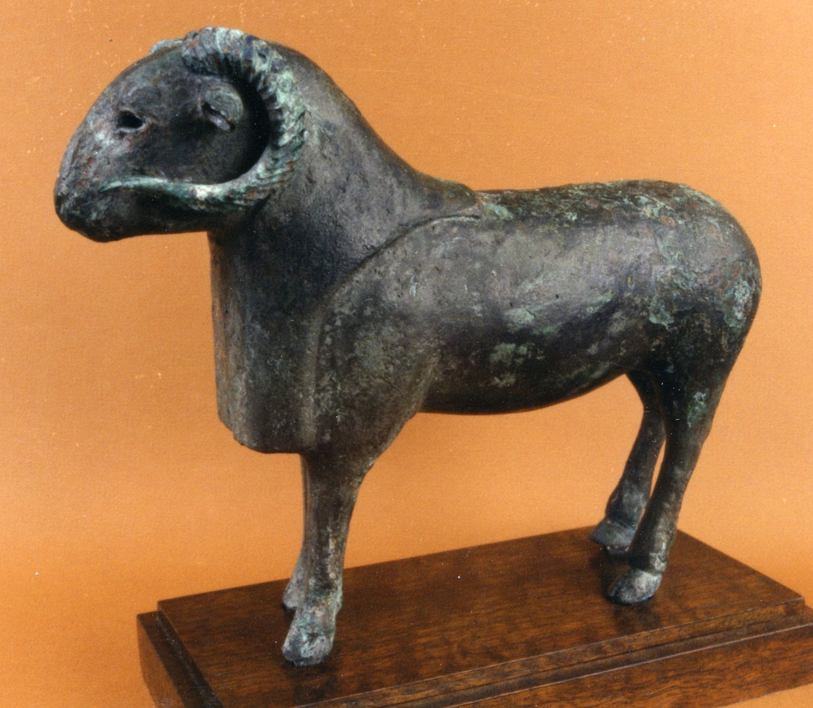 WhatsApp Image 2025-11-06 at 14.57.32